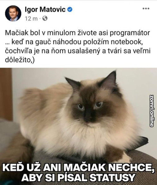 Aj mačiak sa nas snaží ochrániť pred Igorom